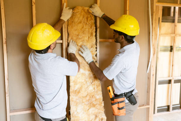 Best Insulation Air Sealing  in East Cleveland, OH